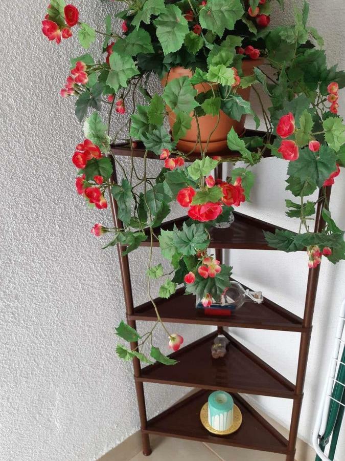 Apartment Duba Сен Екстериор снимка